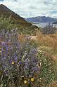 WT 0200 046-06 New Zealand